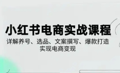 小红书从0-1实操课(2023-2025)，详解养号、选品、文案撰写、爆款打造实现电商变现-小目标轻创