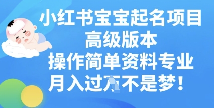 小红书宝宝起名项目高级版本，操作简单，资料专业，月入过W-小目标轻创