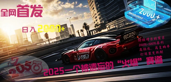 全网首发：2025一个被遗忘的“火爆”赛道轻松日入多张-小目标轻创