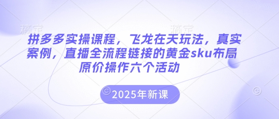 拼多多实操课程，飞龙在天玩法，真实案例，直播全流程链接的黄金sku布局原价操作六个活动-小目标轻创