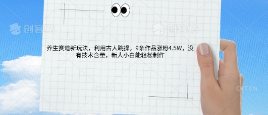 AI养生赛道新玩法，10条作品涨粉5.2W，操作简单，新人小白能轻松制作-小目标轻创