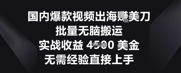 国内爆款视频出海挣美刀，批量无脑搬运，实战收益4.5k，无需经验直接上手-小目标轻创