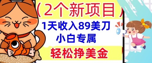 2个新项目，轻松挣美金， 1天收入89美刀，小白专属，干货分享-小目标轻创