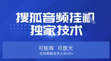 【搜狐音频挂G】独家技术，可矩阵可放大，红利期稳定月入8k【揭秘】-小目标轻创