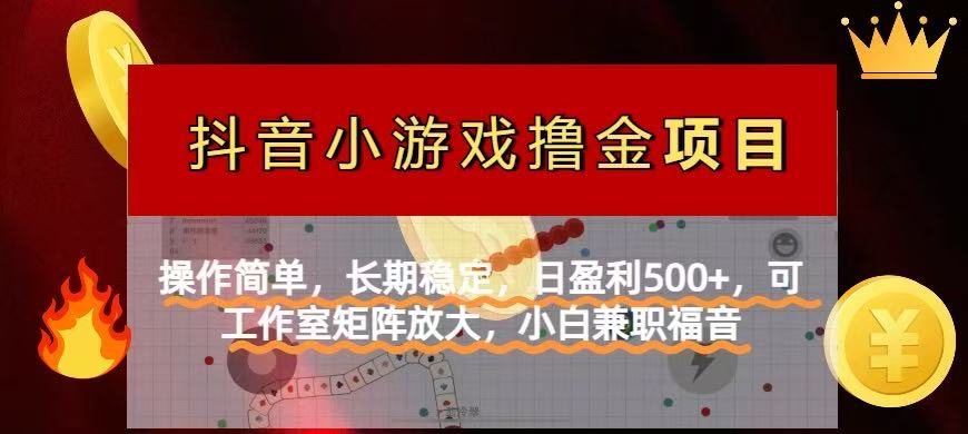 （14290期）【抖音小游戏发行人计划项目】操作简单，长期稳定，日盈利500+，可工作...-小目标轻创
