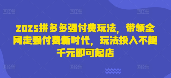 2025拼多多强付费玩法，带领全网走强付费新时代，玩法投入不超千元即可起店-小目标轻创