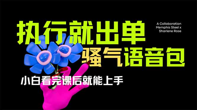 （14170期）爆火全网的开车导航骚气语音包,只要执行就出单，小白看完课程就能实操...-小目标轻创