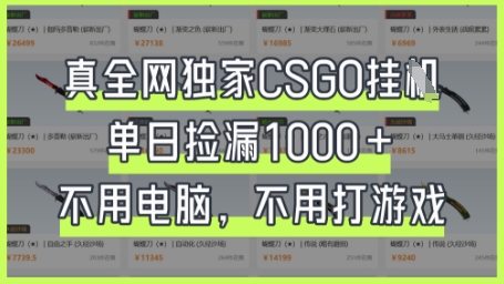 真全网独家CSGO挂G，单日捡漏1k+【揭秘】-小目标轻创
