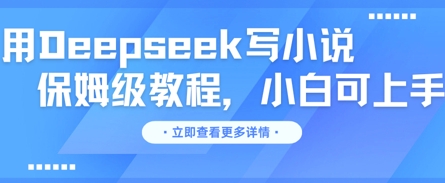 用Deepseek写小说，保姆级教程，小白可实操-小目标轻创