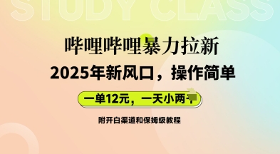 哔哩哔哩暴力拉新：2025年新风口，一单12元，一天数张(附开白渠道和保姆级教程)-小目标轻创