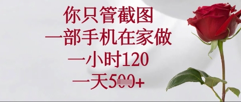 你只管截图，一部手机在家操作，一小时120.一天5张【揭秘】-小目标轻创